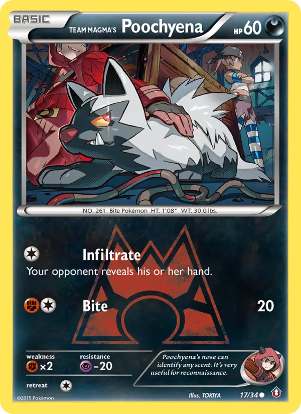 Team Magma's Fiffyen