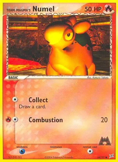 Team Magmas Camaub