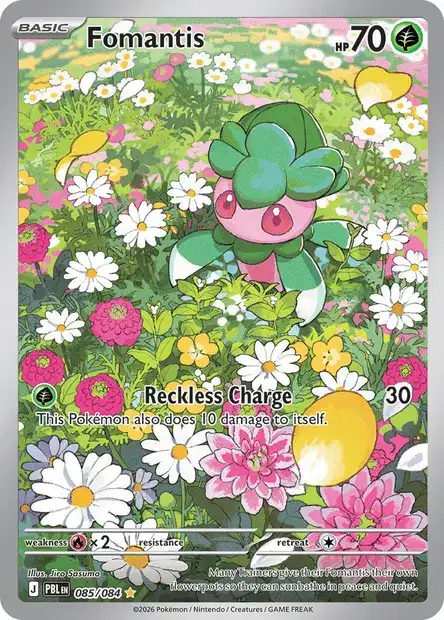 Fomantis