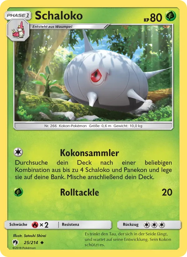 Schaloko