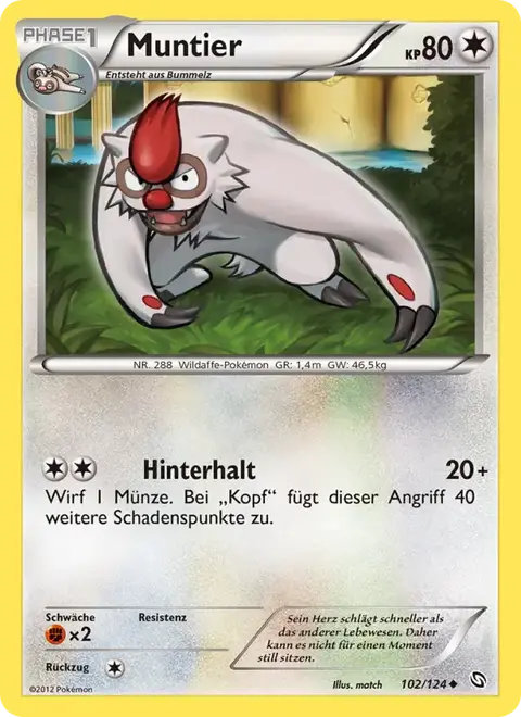 Muntier