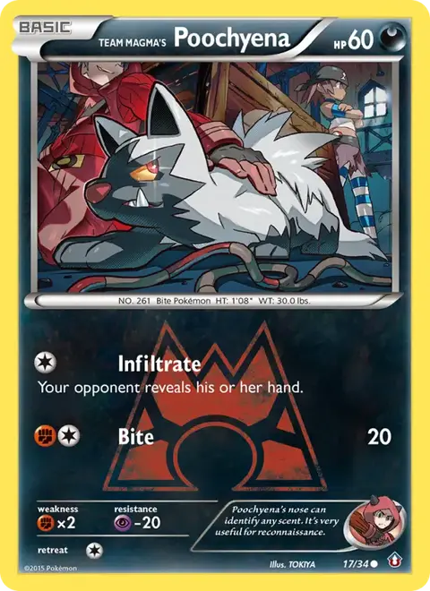 Team Magma's Fiffyen