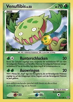Venuflibis