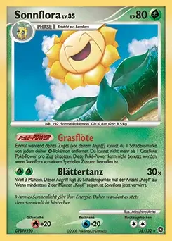 Sonnflora