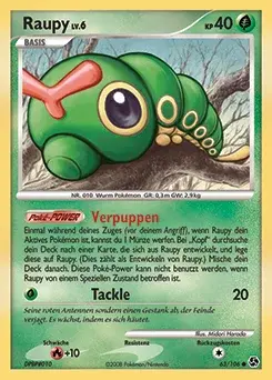 Raupy