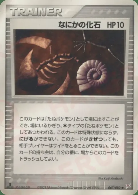 Geheimnis Fossil