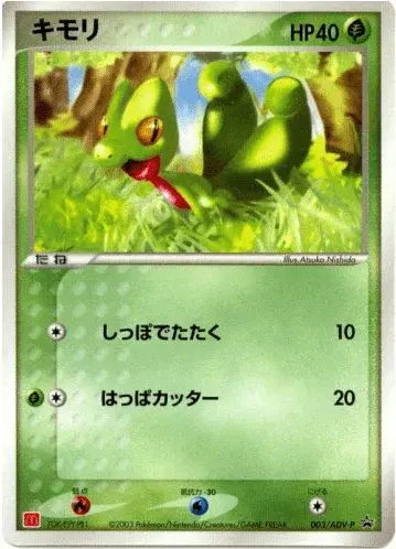 Geckarbor