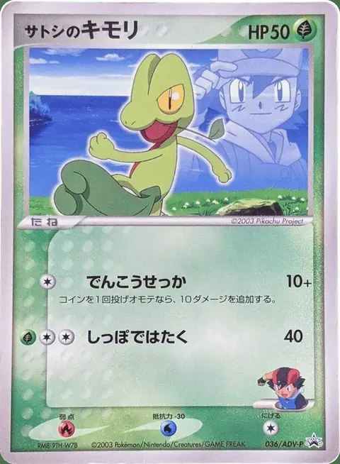 Ash’s Geckarbor
