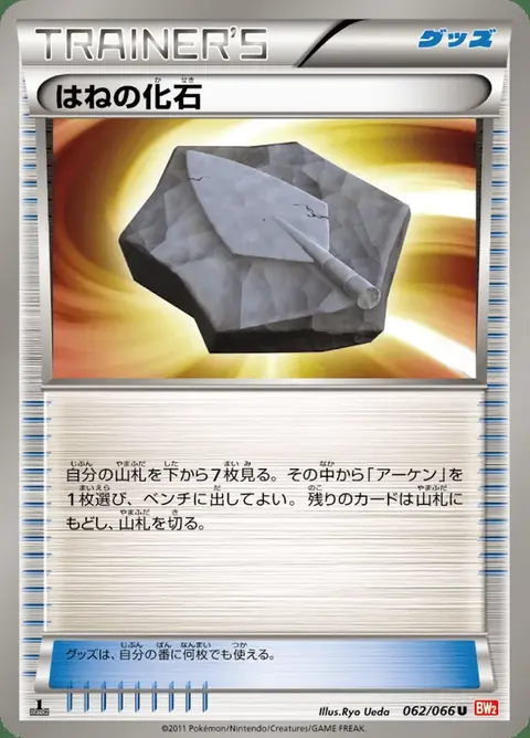 Federfossil
