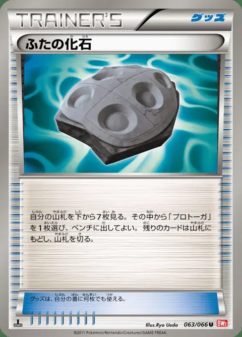 Schildfossil