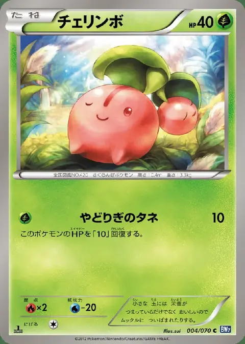Kikugi
