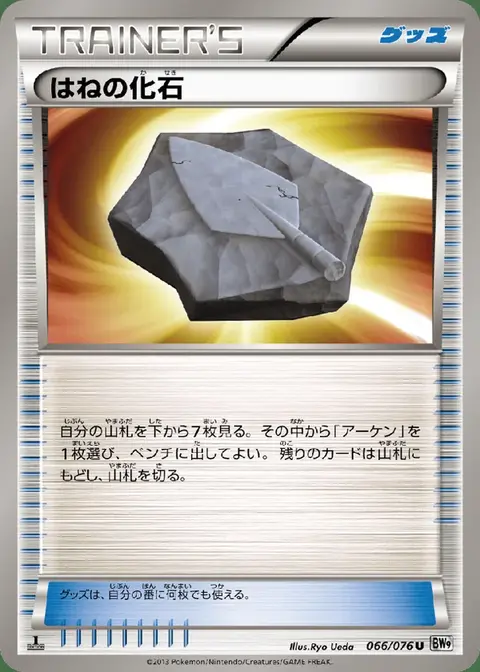 Federfossil