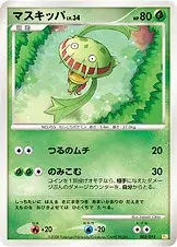 Venuflibis