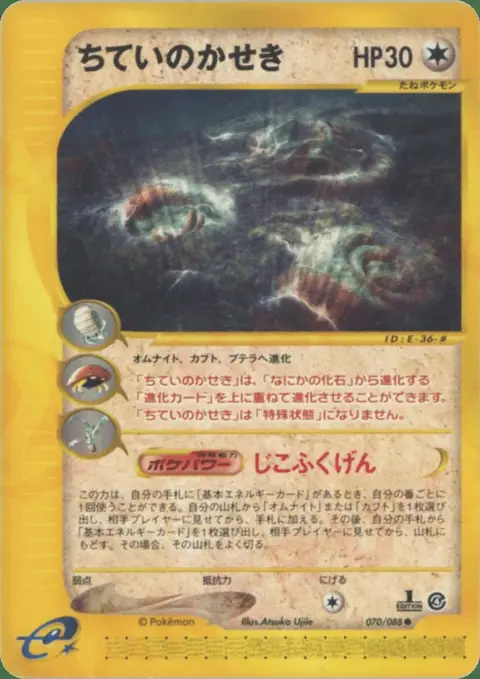 Vergrabenes Fossil