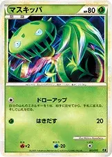 Venuflibis