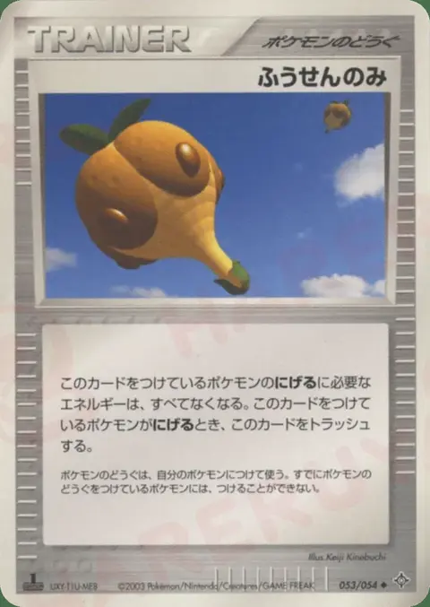 Ballonbeere