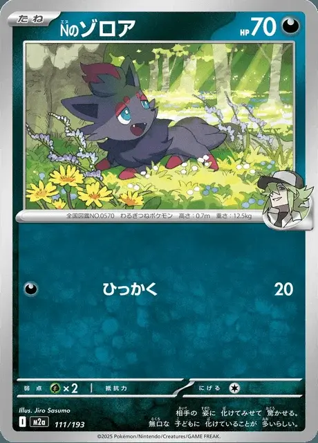 Ns Zorua