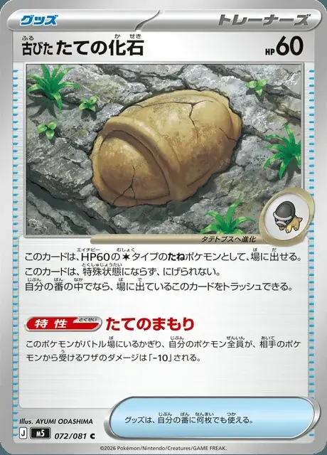 Antikes Panzerfossil