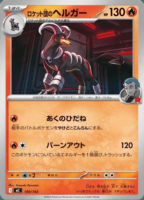 Team Rockets Hundemon