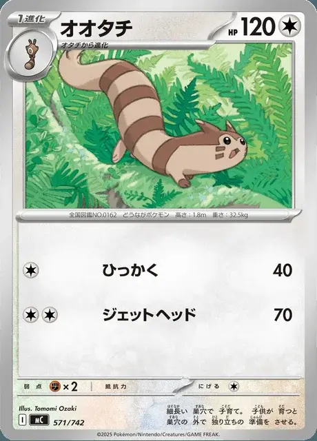 Wiesenior