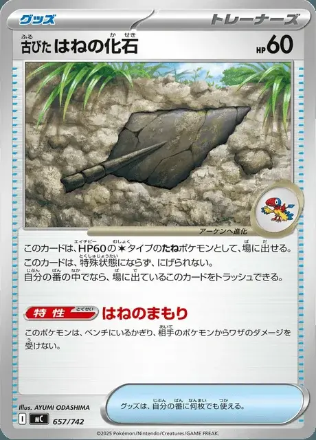 Antikes Federfossil