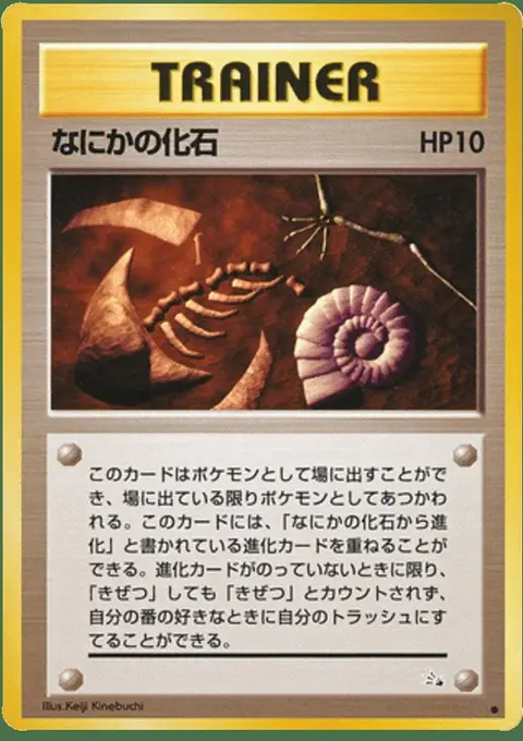 Geheimnis Fossil