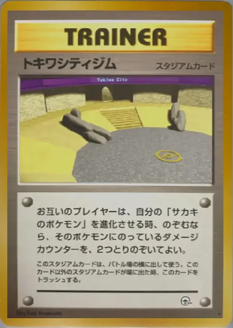 Viridian Dunkelstadt Gym