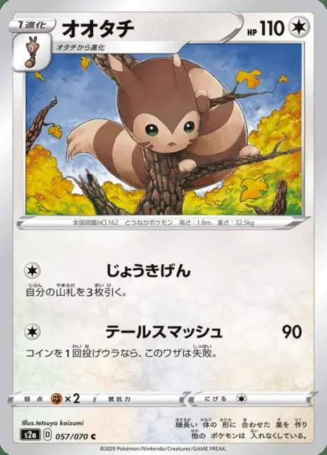Wiesenior