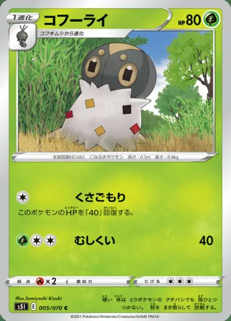 Puponcho