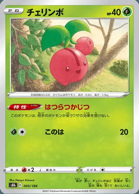 Kikugi