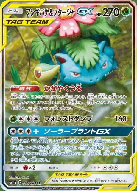 Bisaflor-TAG TEAM-GX