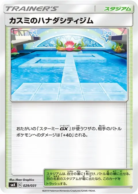 Misty’s Cerulean Dunkelstadt Gym