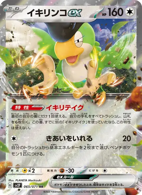 jpsv2p-065