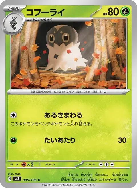 Puponcho