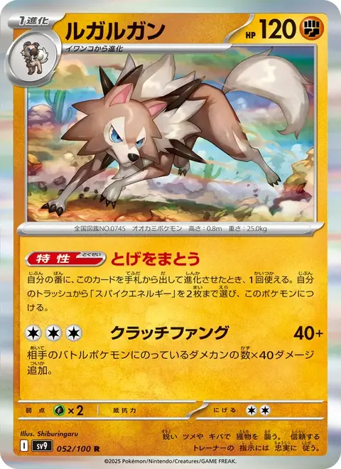 Wolwerock