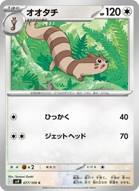 Wiesenior