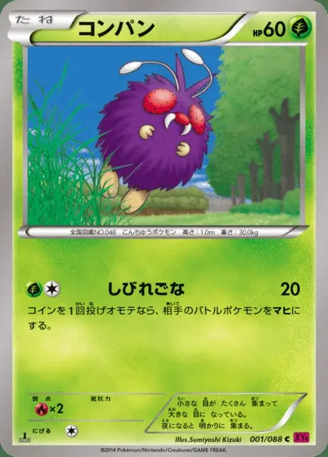 Bluzuk