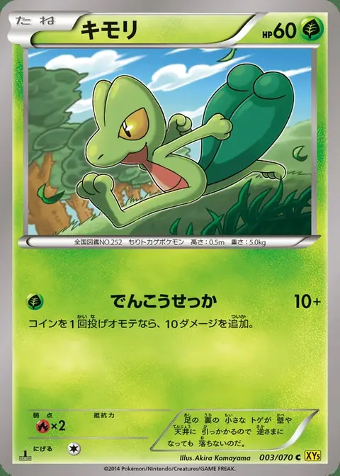 Geckarbor