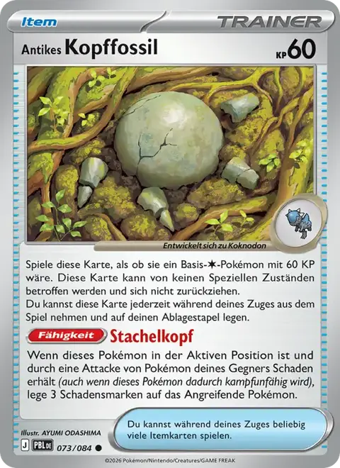 Antikes Kopffossil