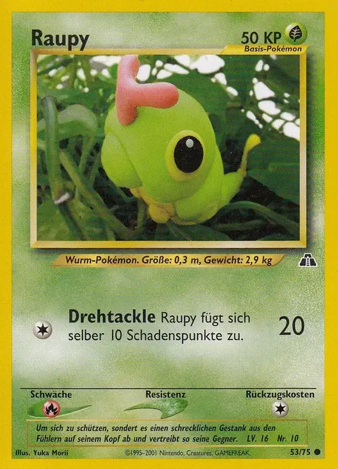 Raupy