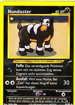 Hunduster