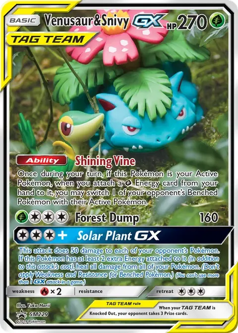 Bisaflor & Serpifeu GX