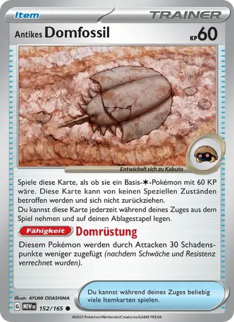Antikes Domfossil