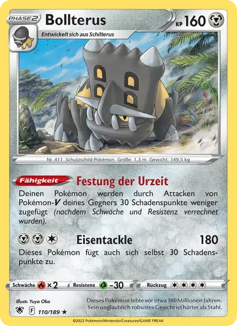 Bollterus