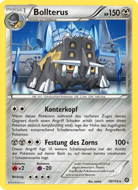 Bollterus