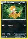 Zurrokex