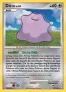 Ditto