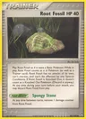 Wurzelfossil