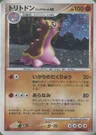 Gastrodon Westliches Meer