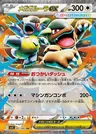 Mega-Kangama-ex
